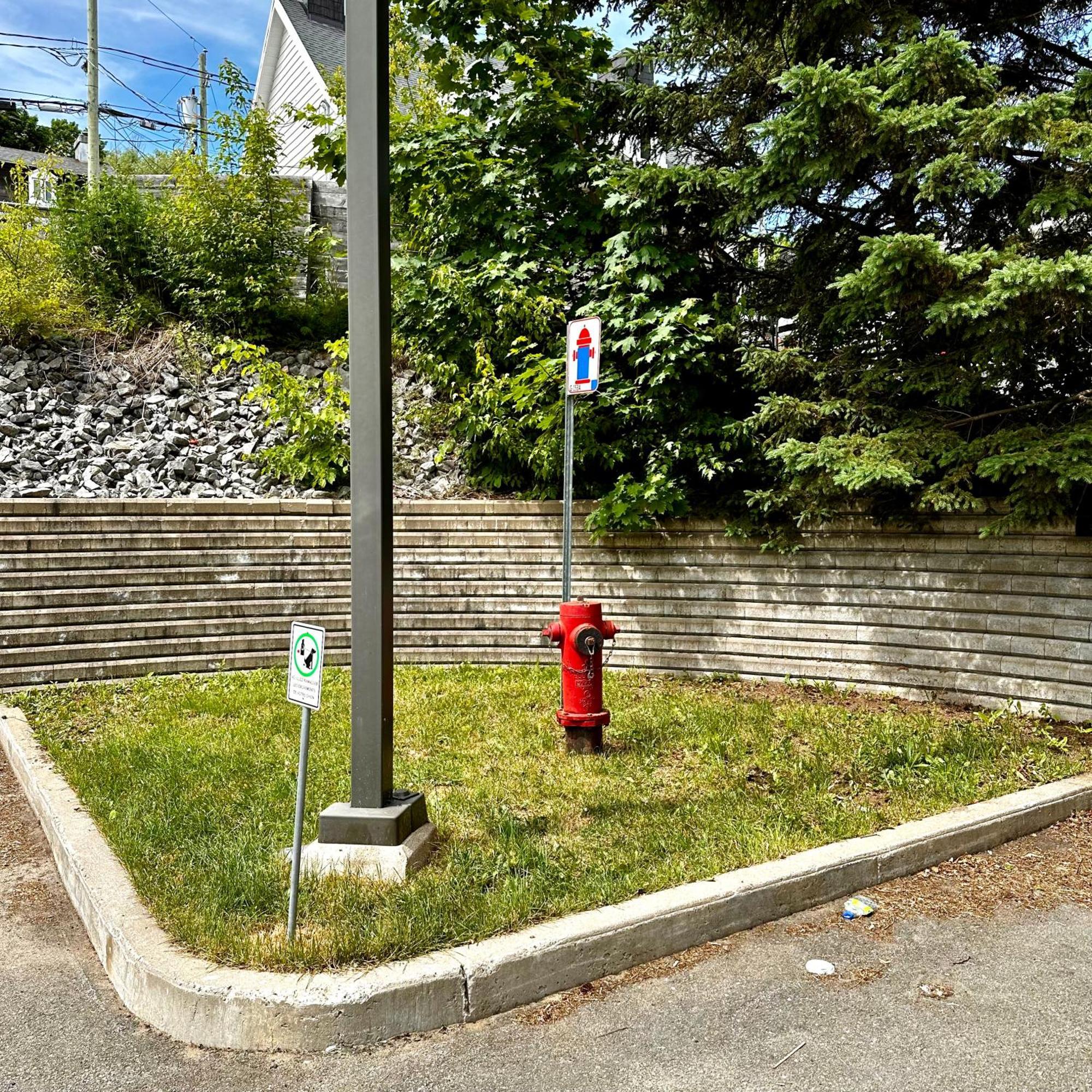Initial - Explorateur - Chutes-Montmorency Boischatel Exterior photo